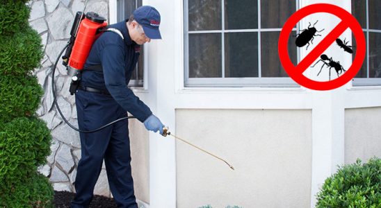 Boğazkale Böcek ve Haşere İlaçlama böcek ilaçlama ve haşere kontrolü — ilaclama-tr.com